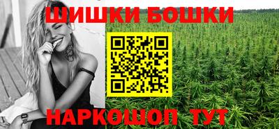 гидра Лесосибирск