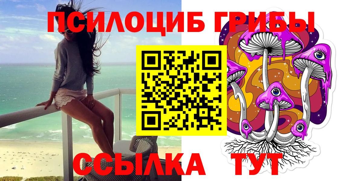 Псилоцибиновые грибы Psilocybe Ульяновск