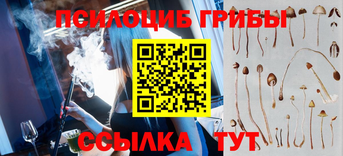 Псилоцибиновые грибы мухоморы  Галлюциногенные грибы Magic Shrooms  Вход с VPN  Ульяновск 
